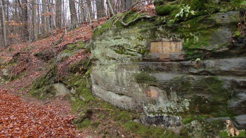 Ritterstein Nr. 122-4 Weg erbaut Frh. v. Hacke 1737.JPG - Ritterstein Nr.122  Weg erbaut Frh. v. Hacke 1737                               